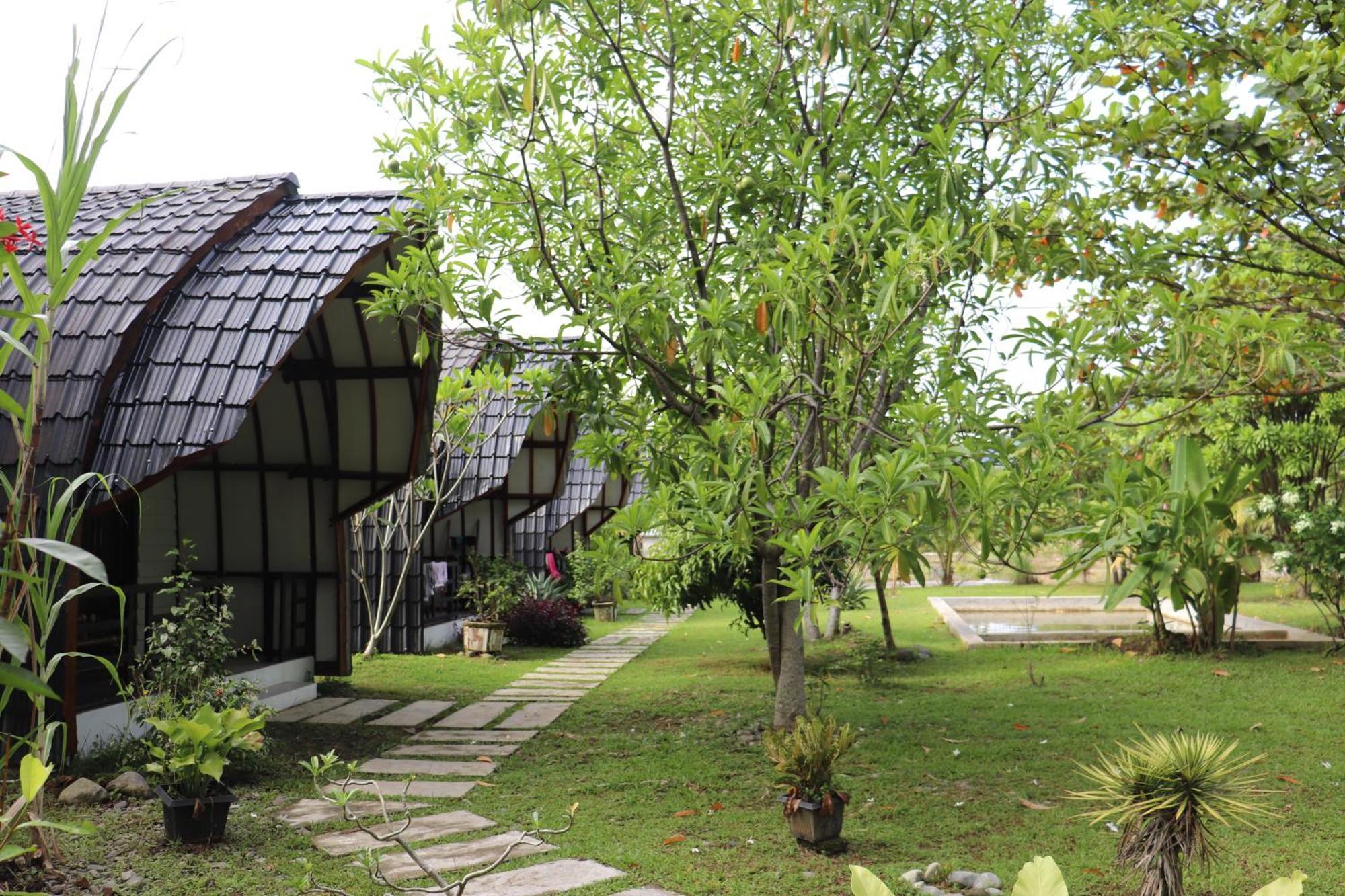 Gino'S Place - Guest House & Jungle Trekking Bukit Lawang Exteriör bild