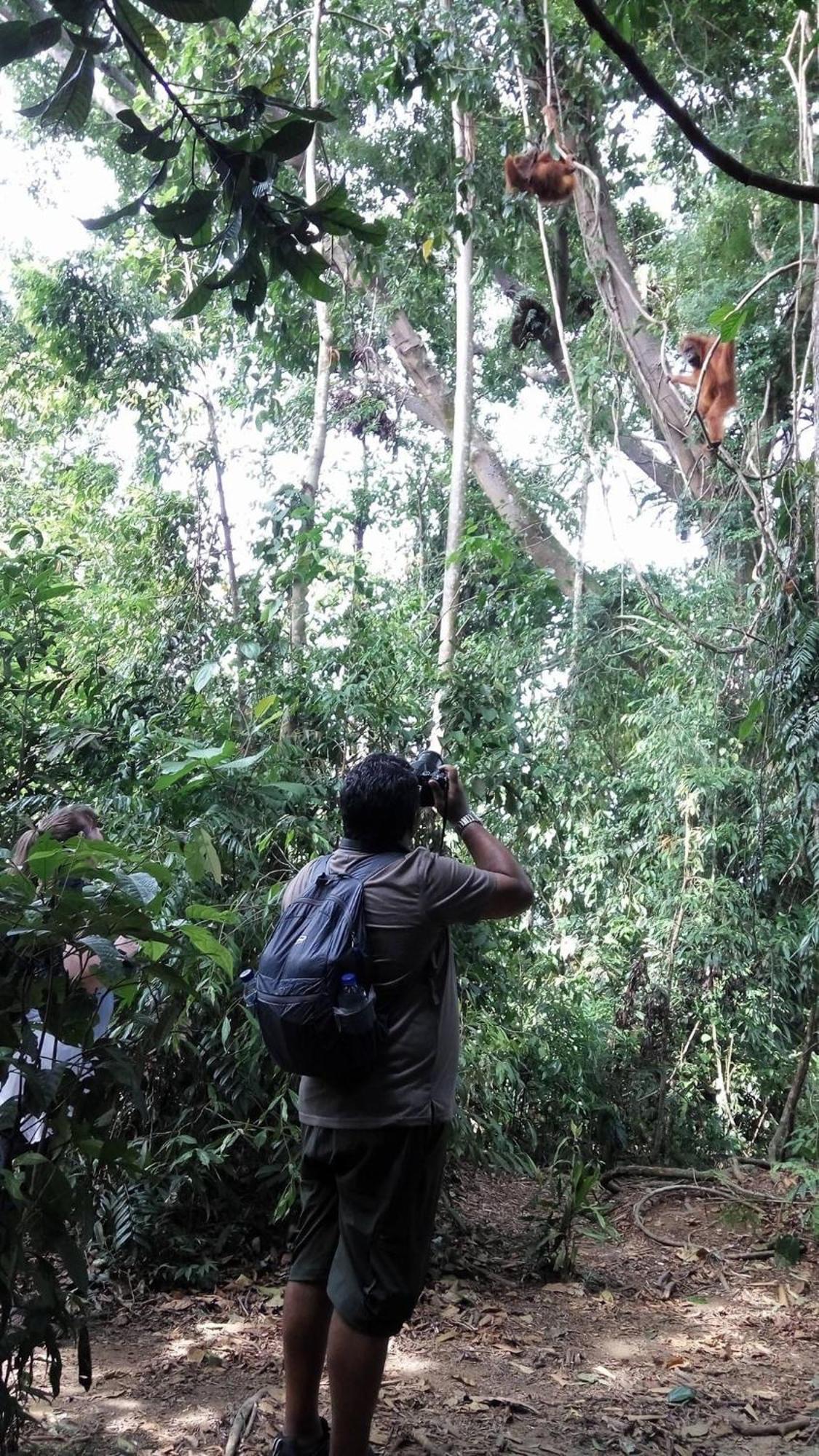 Gino'S Place - Guest House & Jungle Trekking Bukit Lawang Exteriör bild