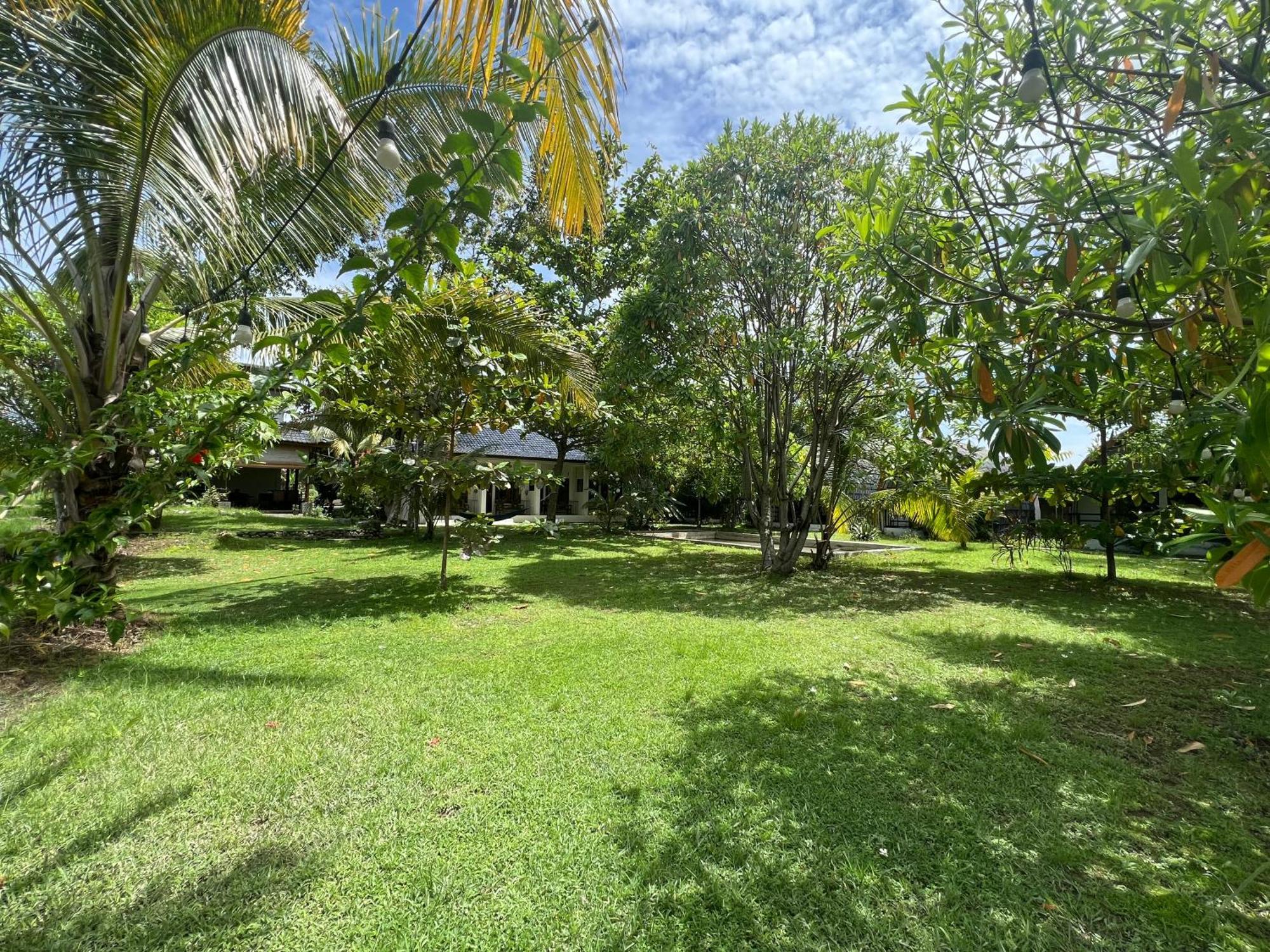 Gino'S Place - Guest House & Jungle Trekking Bukit Lawang Exteriör bild