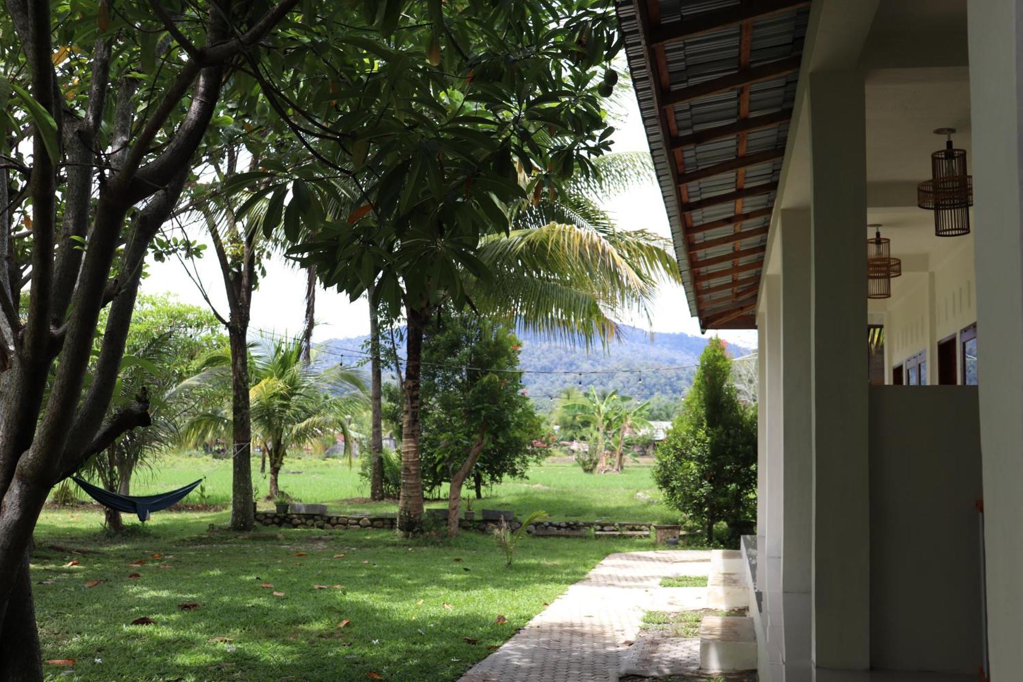 Gino'S Place - Guest House & Jungle Trekking Bukit Lawang Exteriör bild