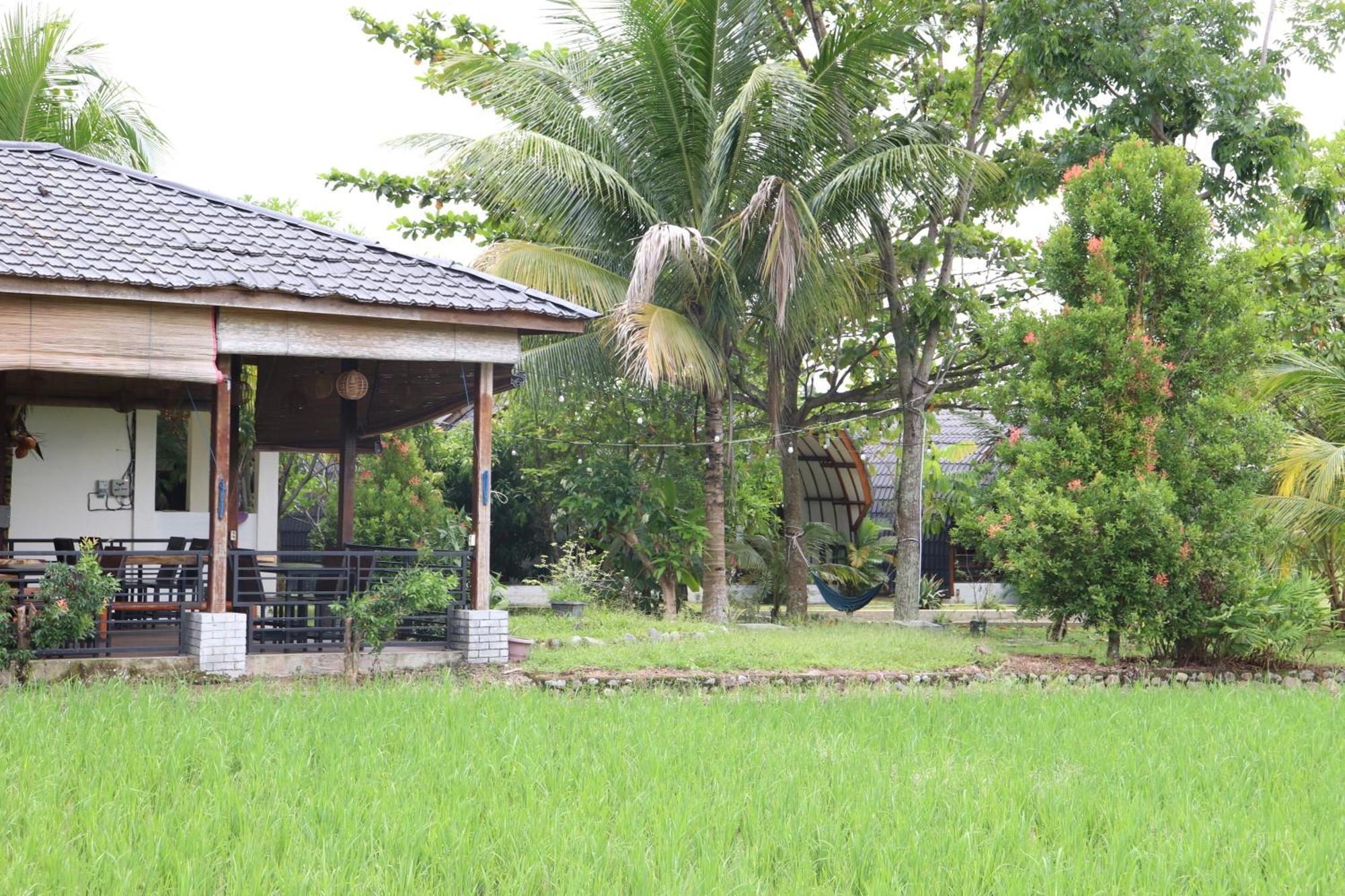 Gino'S Place - Guest House & Jungle Trekking Bukit Lawang Exteriör bild