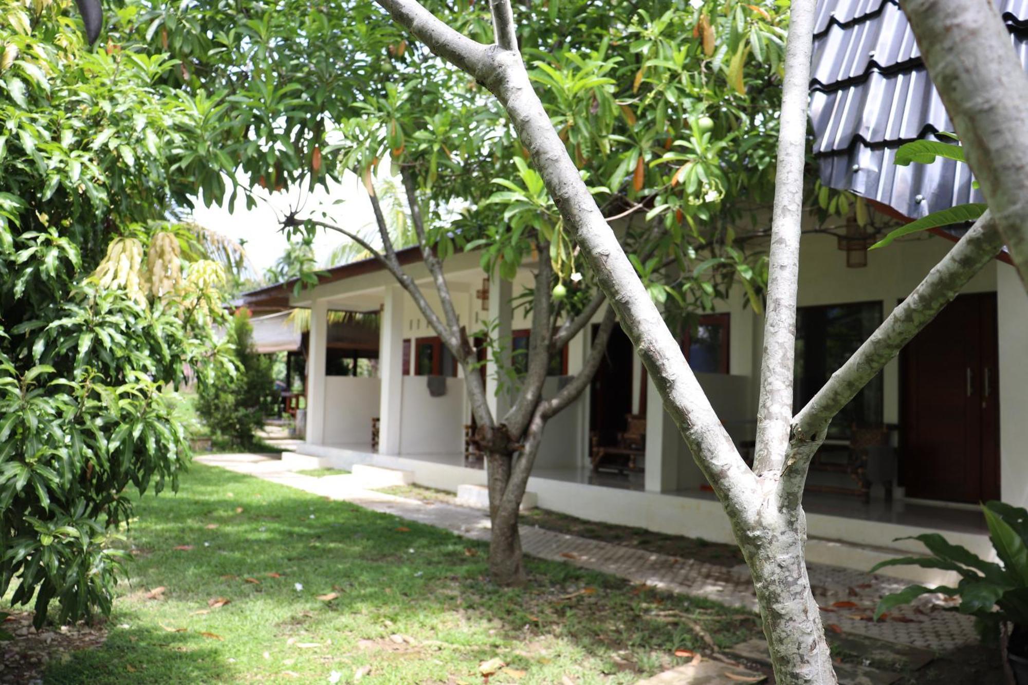 Gino'S Place - Guest House & Jungle Trekking Bukit Lawang Exteriör bild
