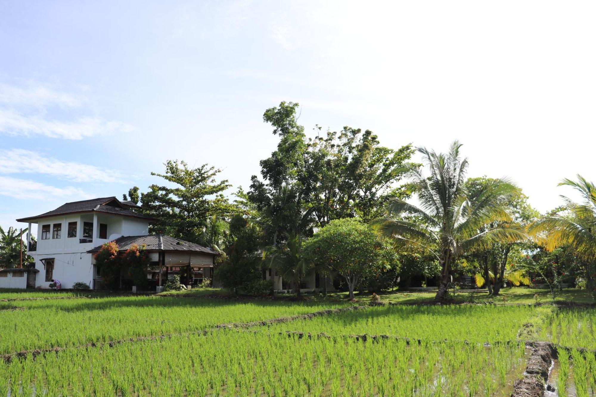 Gino'S Place - Guest House & Jungle Trekking Bukit Lawang Exteriör bild